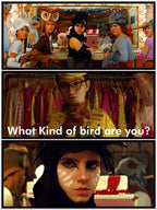 Moonrise Kingdom Sticker